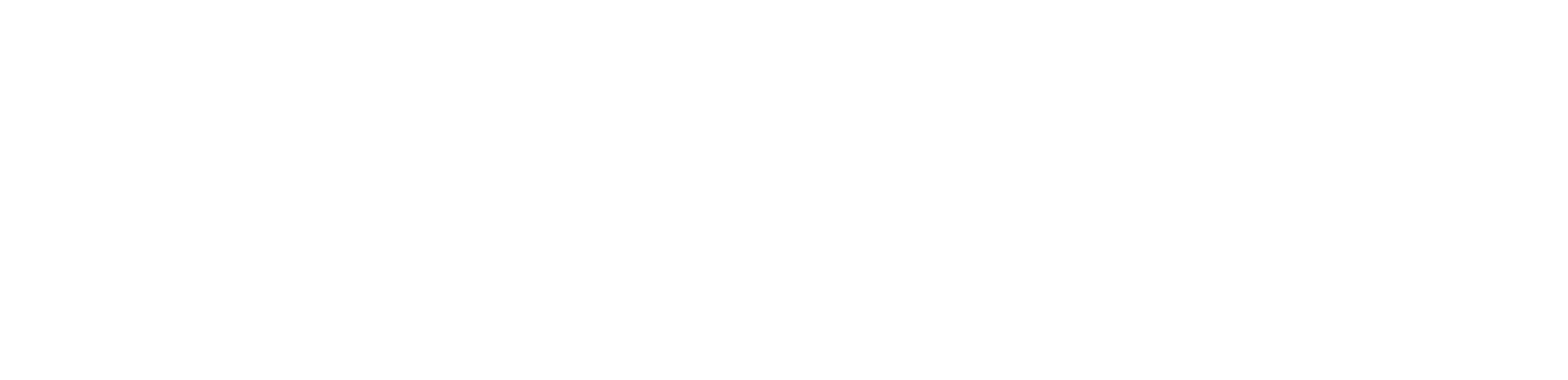 Logo pamela morales fotografia