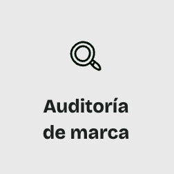 Auditoría de Marca – Express